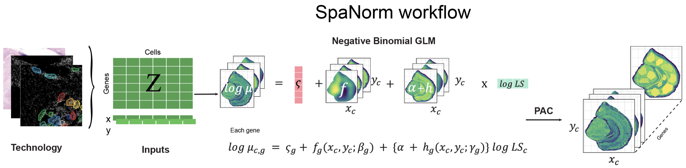 Diagram of the SpaNorm workflow